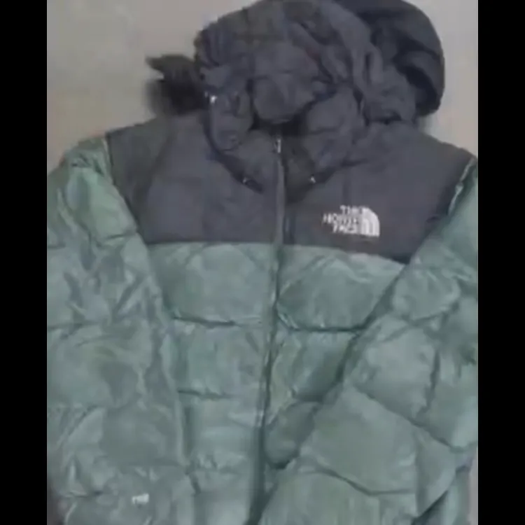 Custom handpick 28 North face puffer jackets, Carhartt pants 20 and 20 rework bag