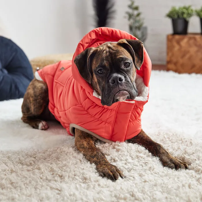 GF Pet Nordic Parka - Cayenne for Dogs