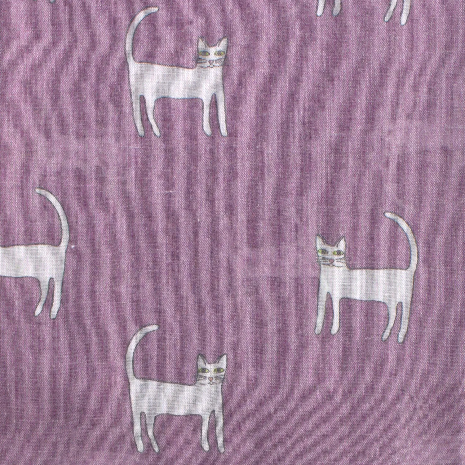 Happy Cats Print Scarf