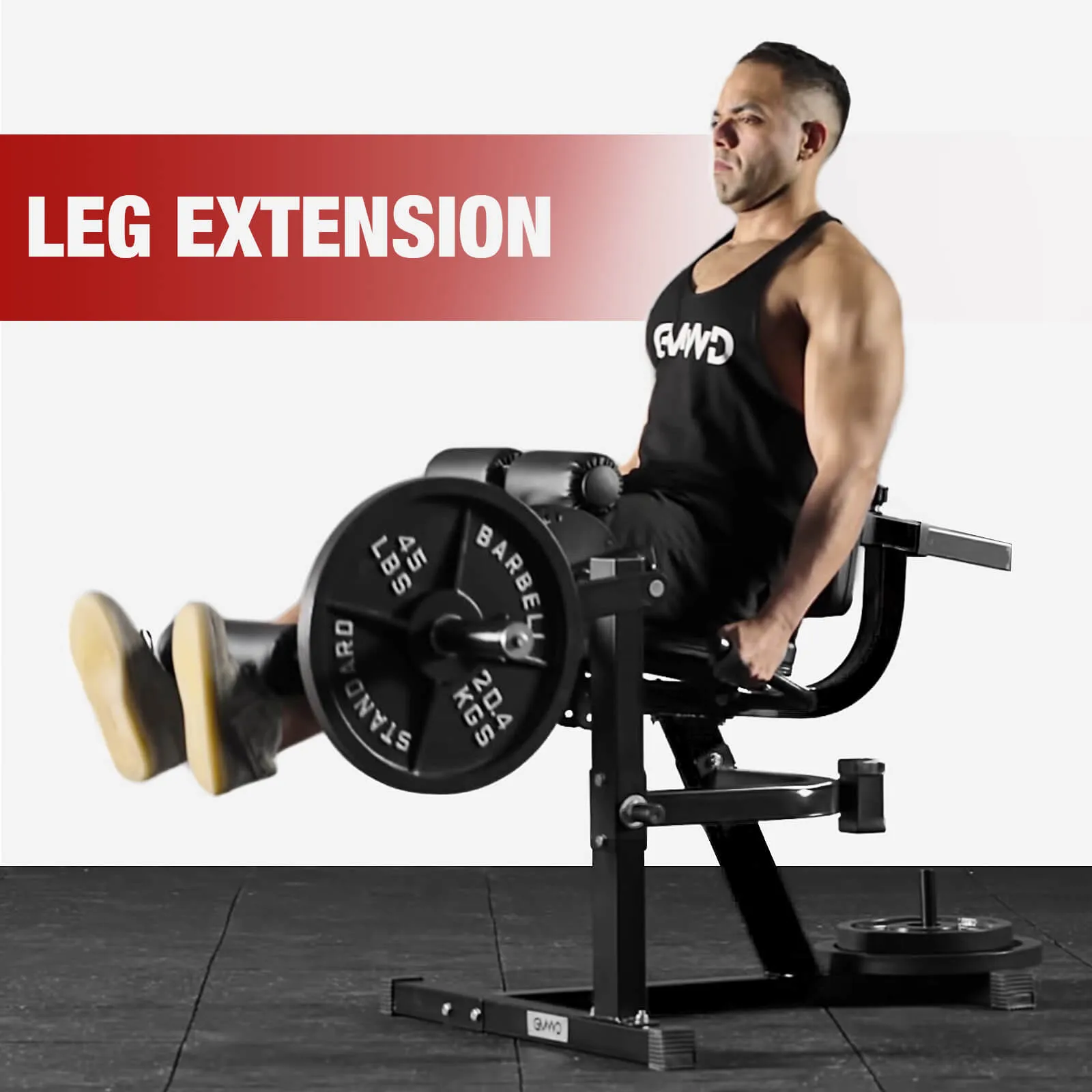 Leg Extension and Curl Machine LE02