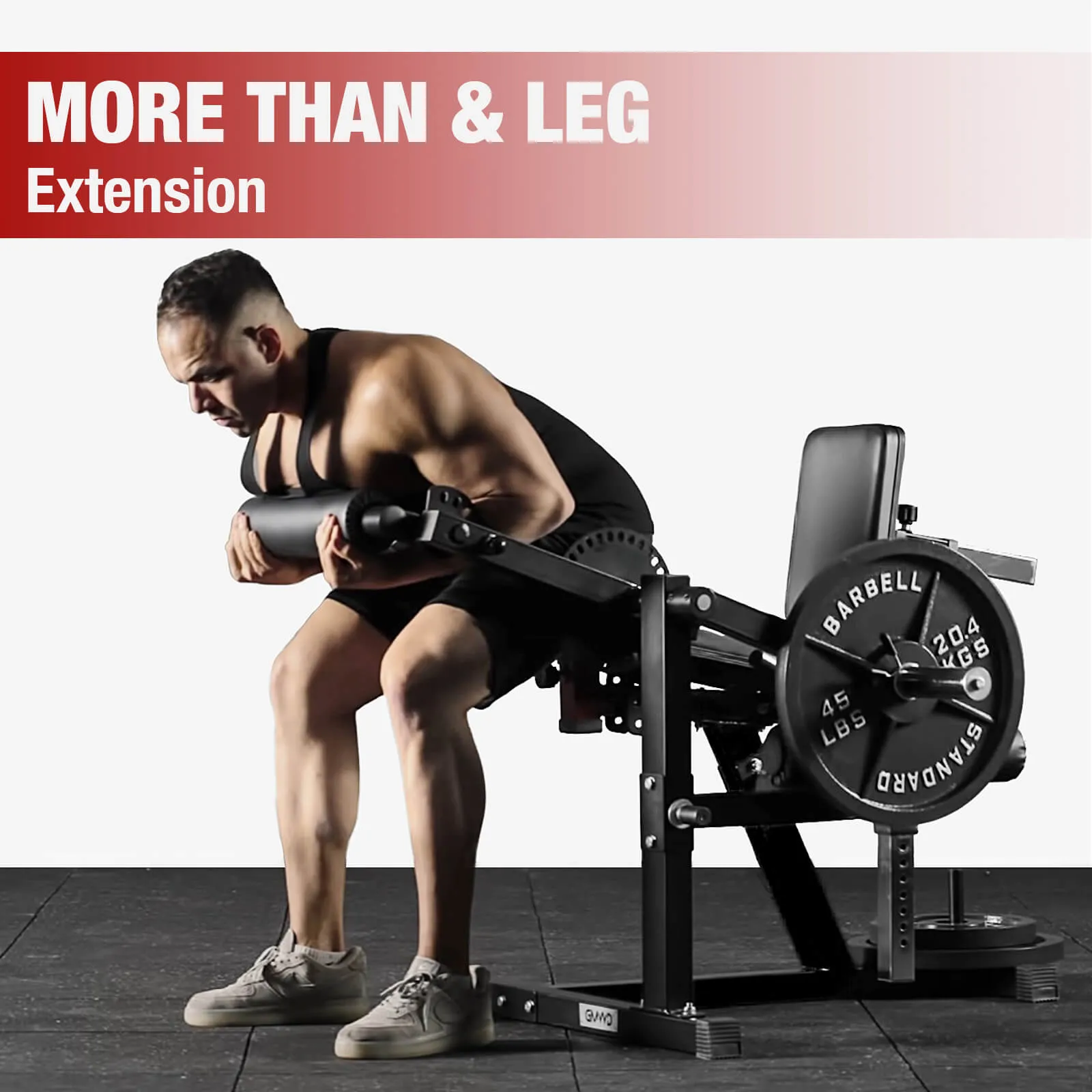 Leg Extension and Curl Machine LE02