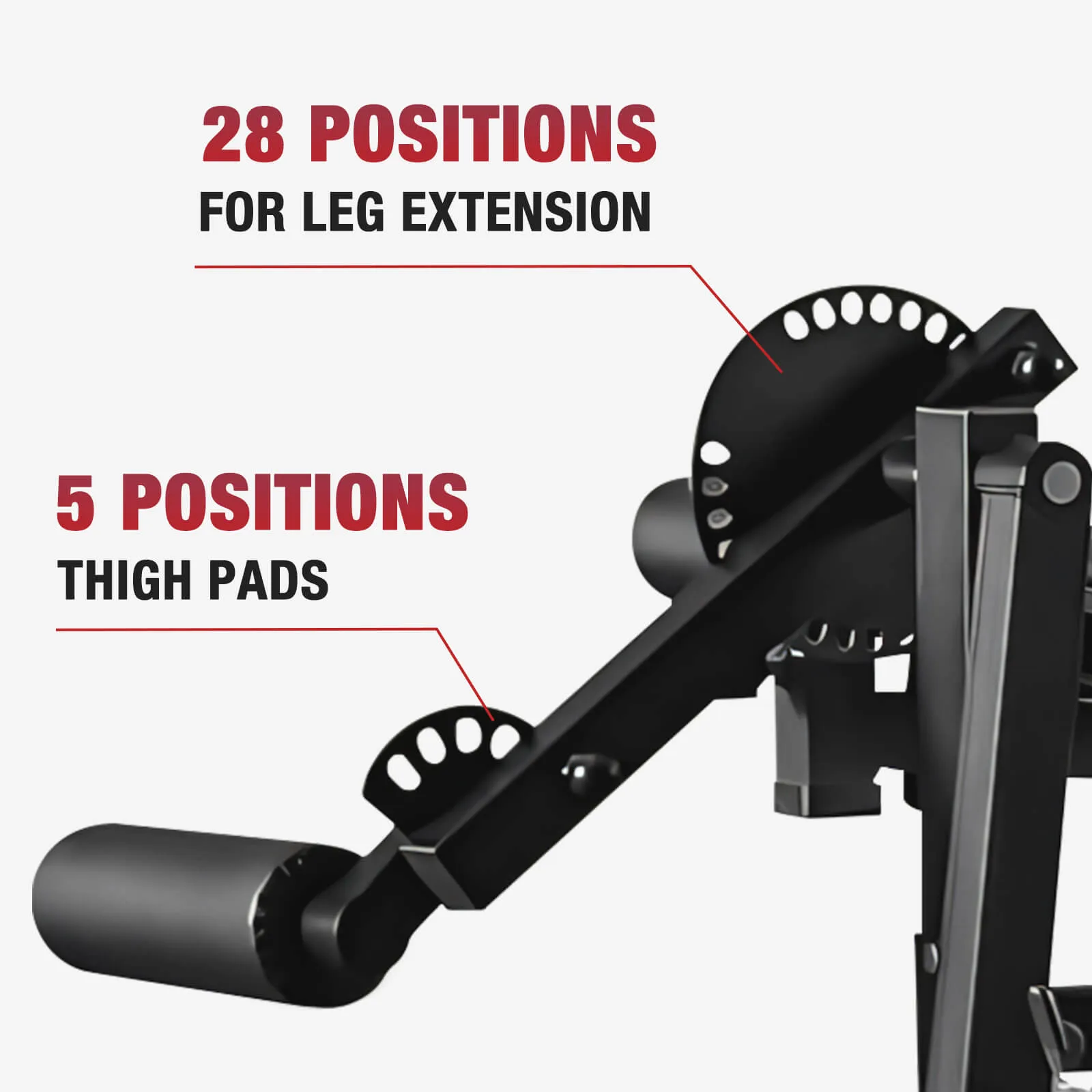 Leg Extension and Curl Machine LE02