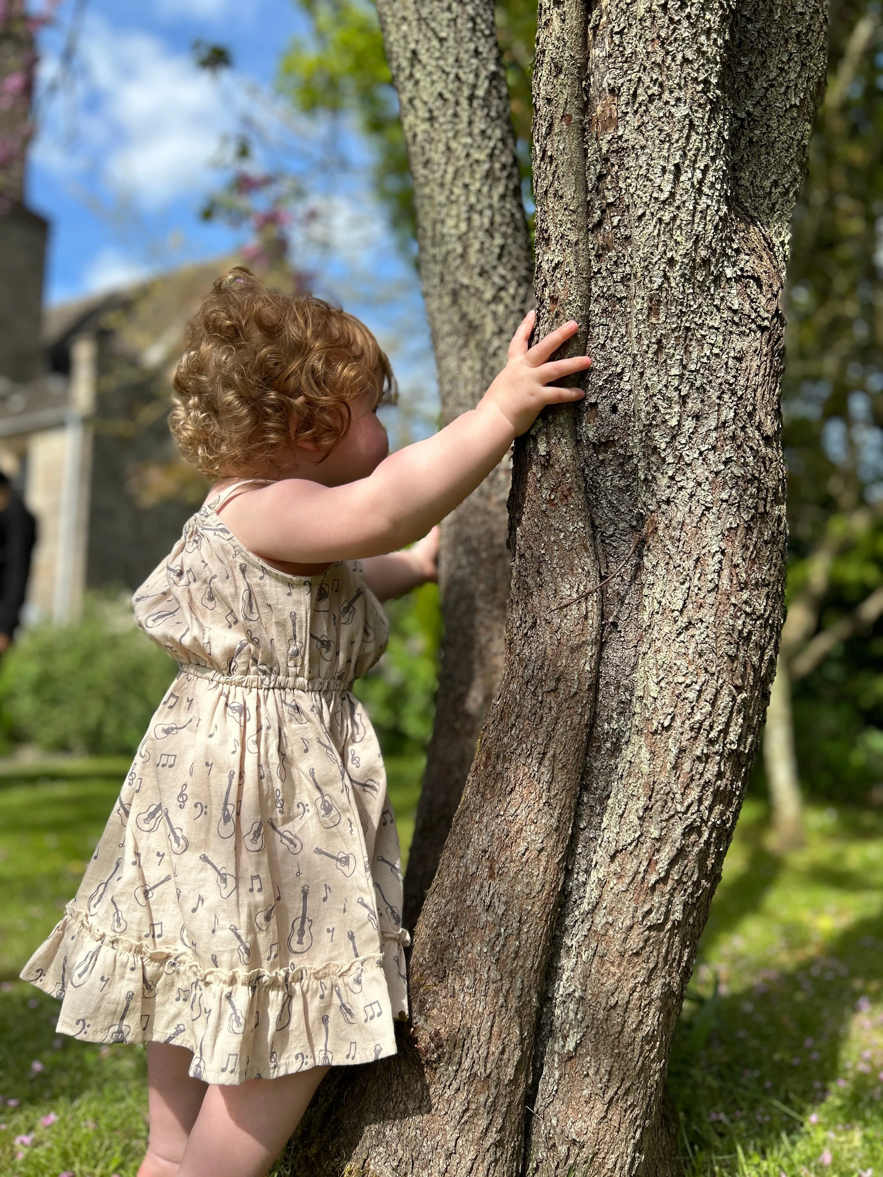 Lizzy Dress in Latte Guitars