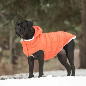 Super Puff Parka, Dog Coat, Popcorn Sherpa Lining - Orange