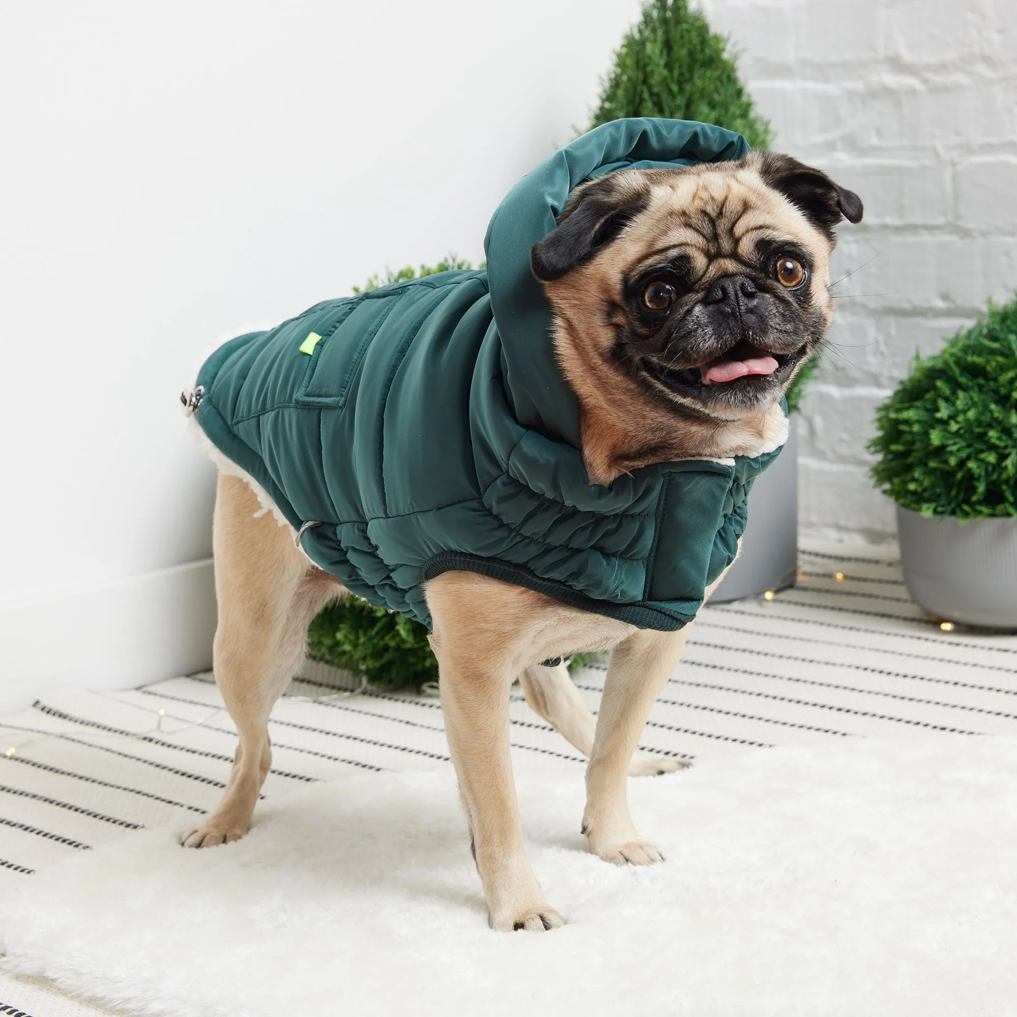 The Puff Parka - Teal